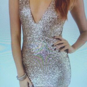 Elegant Silver Sequin Dress